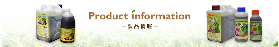 Product Information (製品情報)